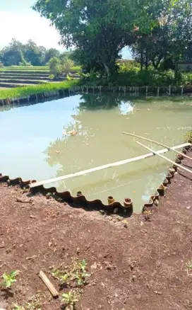 Jual Tanah Murah dan luas plus Kolam ikan Akses mobil Area Banjaran