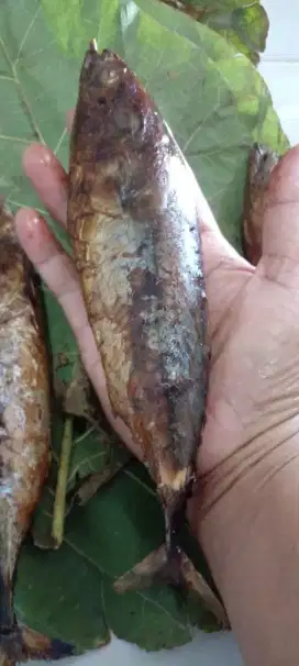 Ikan Salem Asap Premium