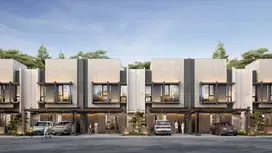 Suvarna Sutera Tipe Aoi