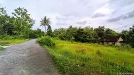 Area Kampus UMY Dan Pintu Tol Gamping Tanah SHM Siap AJB Di Balecatur