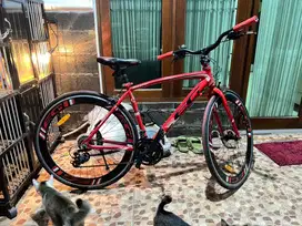 sepeda evergreen rapier road bike 700 second mulus nt polygon