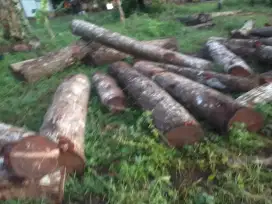Dijual kayu jati,johar,& mahoni.udah potongan tp dg ukrn 2,10m & 2,25m