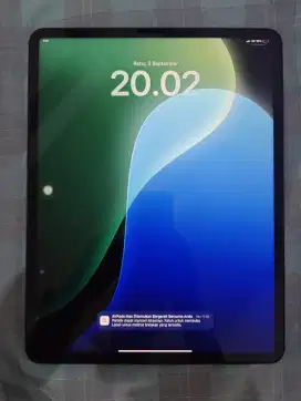 iPad pro 12,9 gen 5