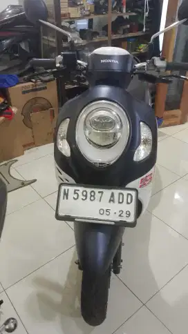 Honda Scoopy 2024