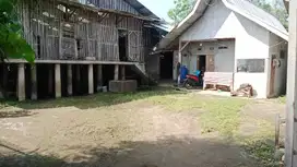 Jual Cepat Ex Peternakan Ayam Petelur Ciparay