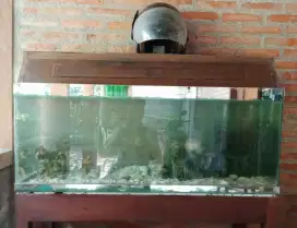 aquarium bekas murah