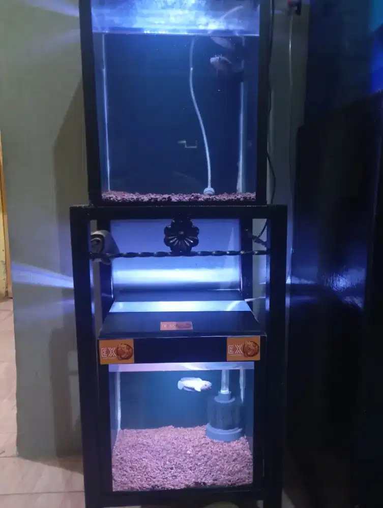 Aquarium set atas bawah