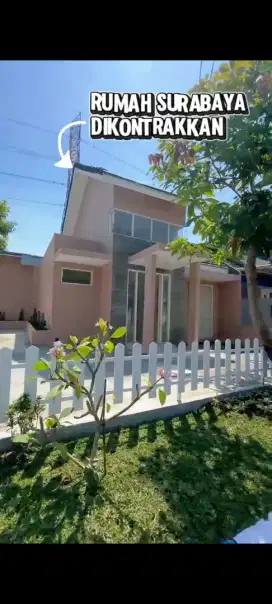 Rumah bersih disewakan secepatnya