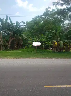 Dijual Tanah Untuk Ruko atau Gudang