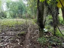 Tanah Kebun Sungai Pandanrejo Tajinan Malang