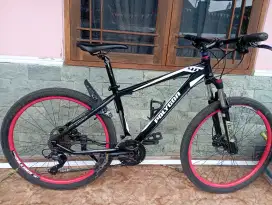Polygon Xtrada 4.0 upgrade