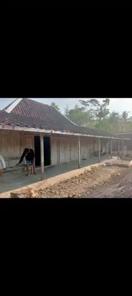 limasan kayu sono campur akasia sehat