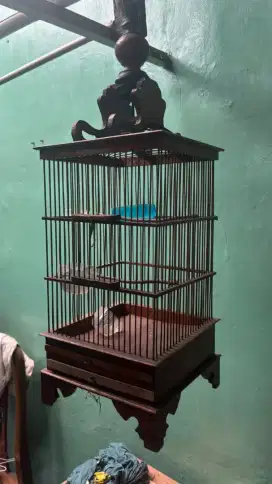 Jual kandang pleci