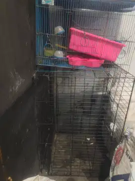 Kandang kucing ukuran besar dan ukuran sedang second layak pakai
