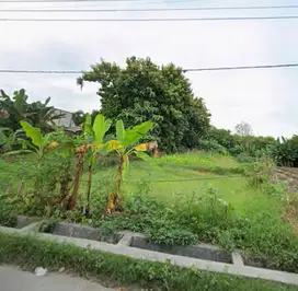 TANAH RAYA MADE NOL JALAN, SHM