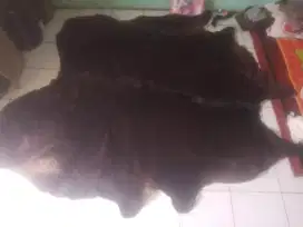 KOLDBY merek Ikea kulit sapi