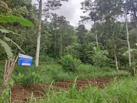 Aset BTN Solo Tanah Pertanian di Karangpandan - Karanganyar