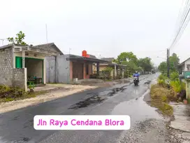 Tanah 880 M2 BERAN BLORA