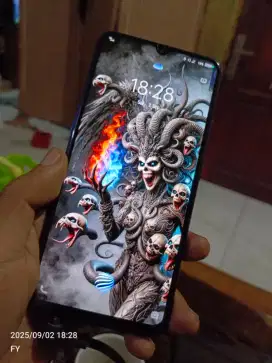 Vivo S1 4/128gb + Yi Action Camera
