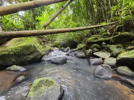 Dijual tanah murah dekat villa los sungai di bali