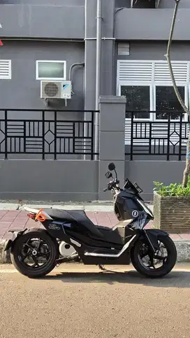 Alva Cervo Pembelian 2025