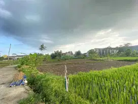 Tanah Murah Barat Kampus UII, Cocok Bangun Kost