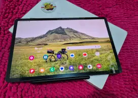 Galaxy Tab S9+ 5G 12/256Gb Graphite Bagus