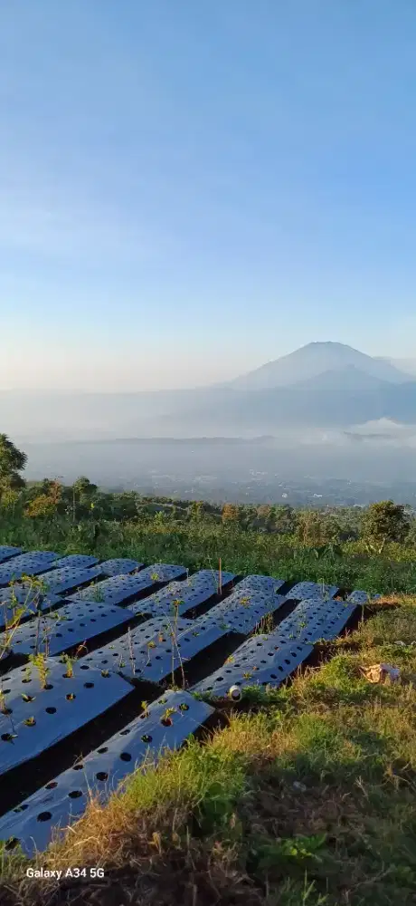 Tanah luas di candigedong9