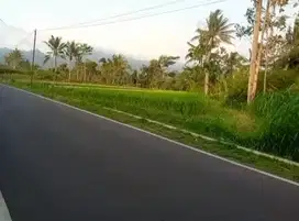 Tanah dekat aspal kampung jabung malang