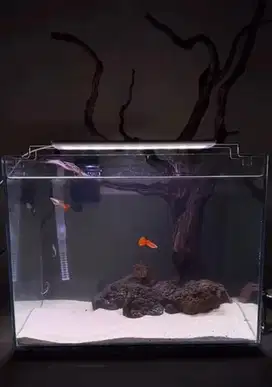 1 set Aquarium 40x30