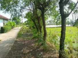 Sawah Produktif dan tanah Darat SHM pinggir Jalan