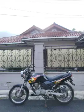 Tiger 2006 tangan pertama