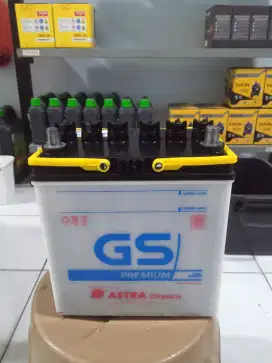 Aki mobil dan genset basah