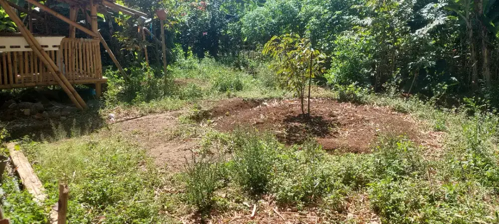 Di jual tanah lahan kebun cocok untuk rumah