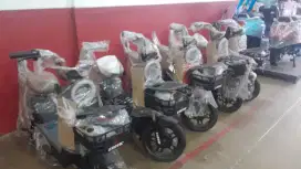 Sepeda listik ev928
