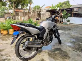 Tiger revo 2006