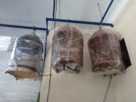 Sangkar burung perkutut
