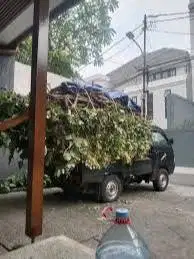Jasa Tukang Bangunan & Jasa Tukang Nebang pohon