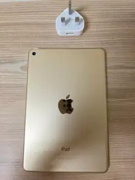 iPad mini 4 128GB + Wiffi