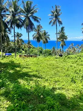 Tanah Kapling senggigi dekat Sheraton hotel  Full view laut