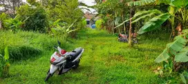 Tanah datar dan produktif di Bogor Barat