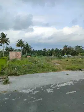 Tanah Murah Pemandangan Alam bisa diKavling,Bangun Villa , Homestay