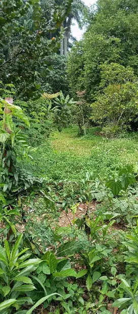 dijual tanah di jln  Raya  Pajajaran Bogor kota 5.063m  shm