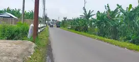 Dijual Murah 2,4 jt permtr lahan Dekat Tol Pakis dan Bandara Abd Saleh