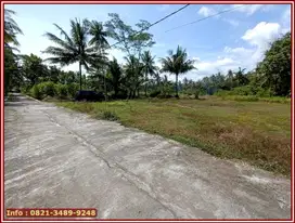 Investasi Tanah di Kulonprogo Area Bandara YIA Jogja : Cocok Kost