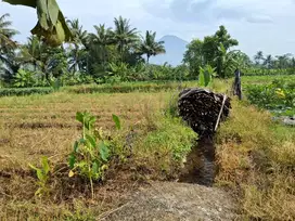 Jual Kavling di Lokasi Strategis dgn View G. Slamet