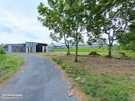3 Jt an View Sawah di Jl.Kaliurang, Clumprit, Ngaglik, Sleman
