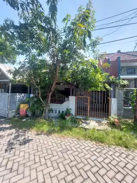 DIJUAL RUMAH PANDUGO BARU RUNGKUT SURABAYA RON.A2618