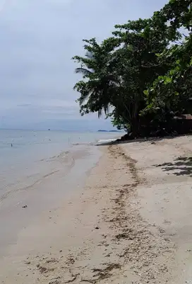 Tanah Pantai 60 Hektar di Manado