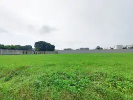 Tanah Kav Komersial 5181m2 Di BSD Tabebuya Jalan Ramai Dkt Grandlucky